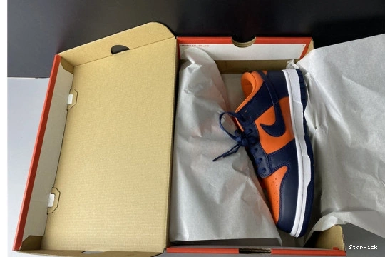 (2020) Nike Low Dunk Colors Champ  CU1727-800 1120